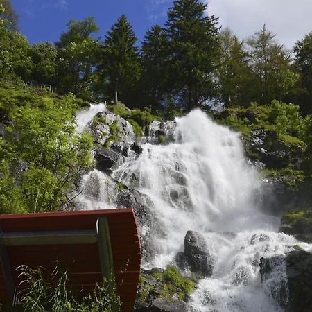 Waldlicht Titisee Zewnętrze zdjęcie