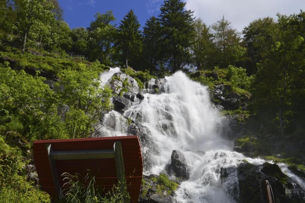 Waldlicht Titisee Zewnętrze zdjęcie