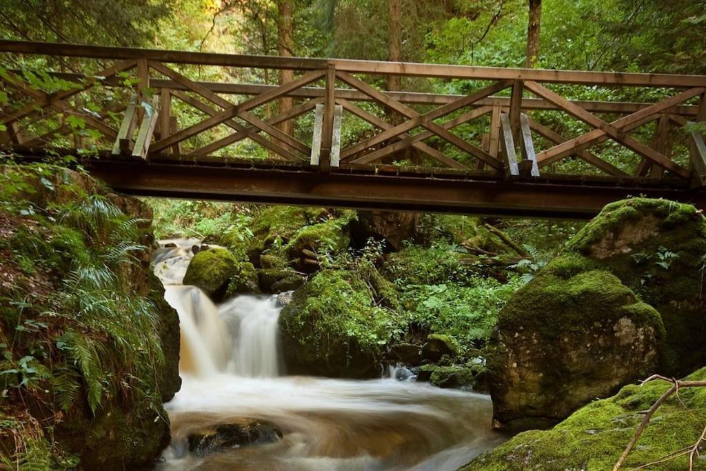 Waldlicht Titisee Zewnętrze zdjęcie