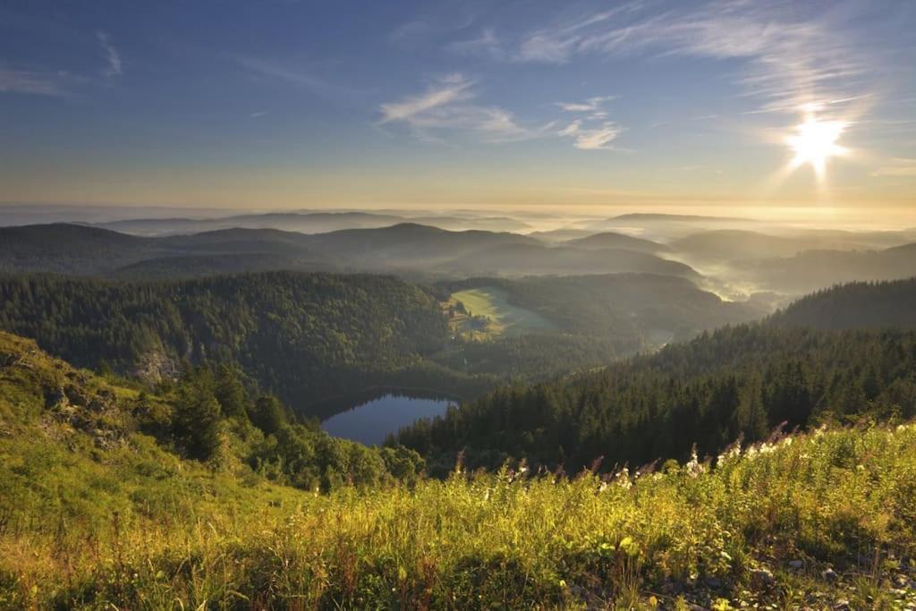 Waldlicht Titisee Zewnętrze zdjęcie