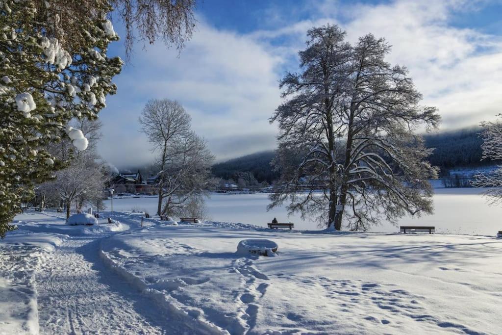 Waldlicht Titisee Zewnętrze zdjęcie