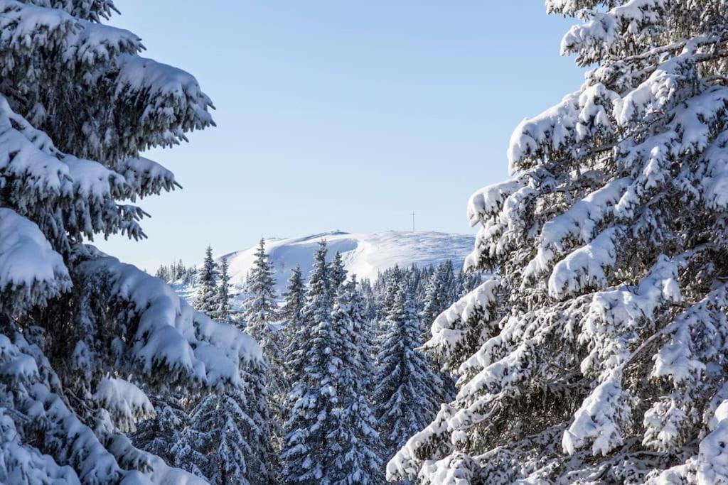 Waldlicht Titisee Zewnętrze zdjęcie
