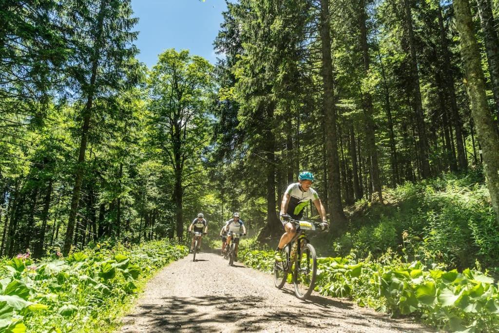 Waldlicht Titisee Zewnętrze zdjęcie