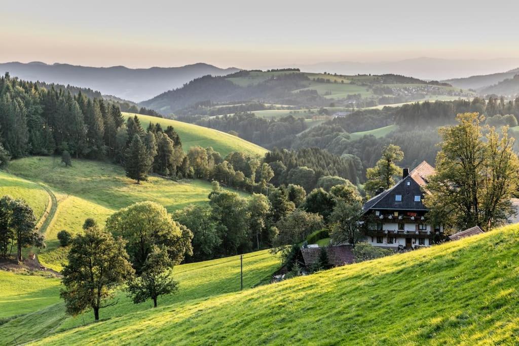 Waldlicht Titisee Zewnętrze zdjęcie