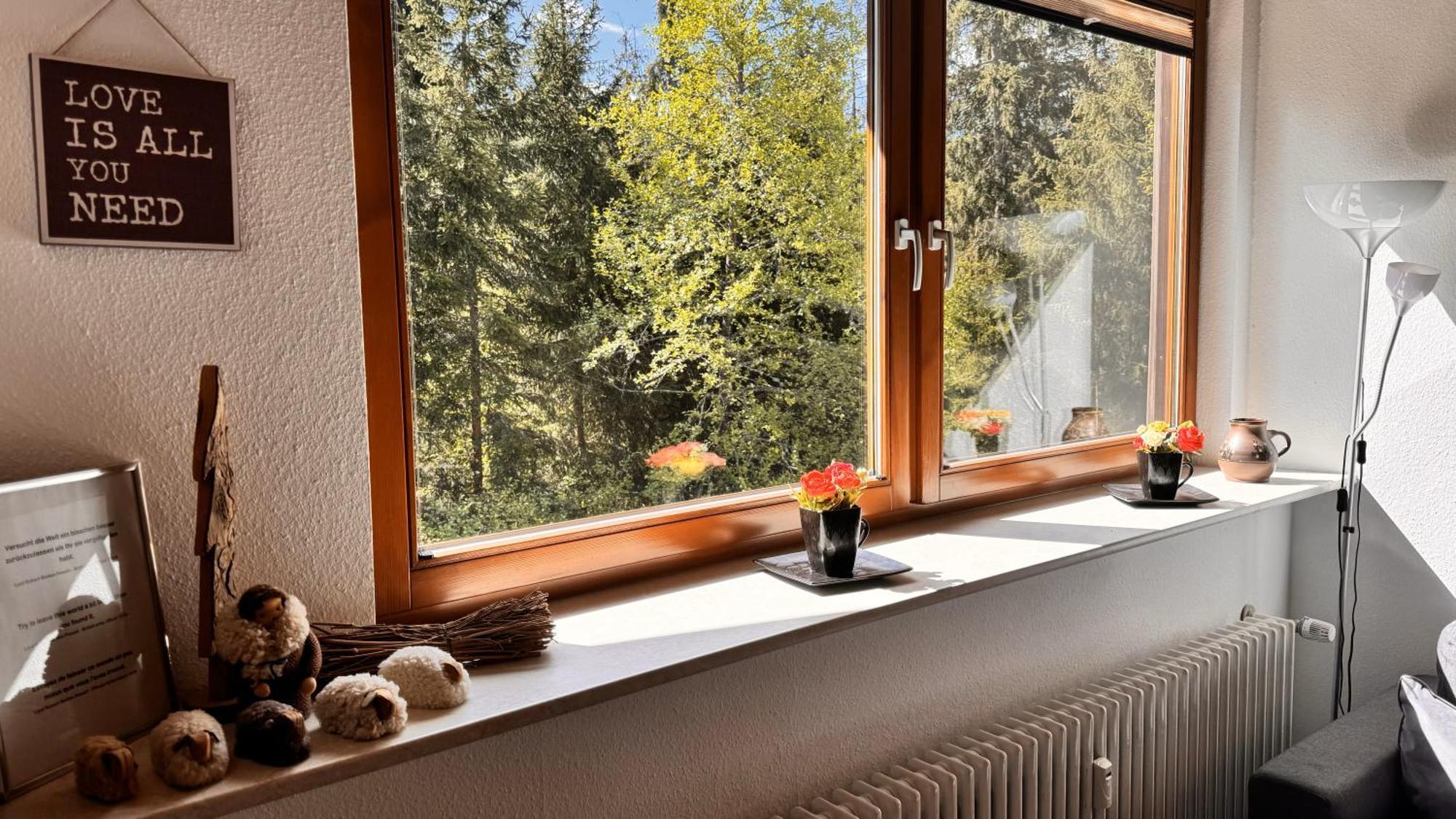 Waldlicht Titisee Zewnętrze zdjęcie